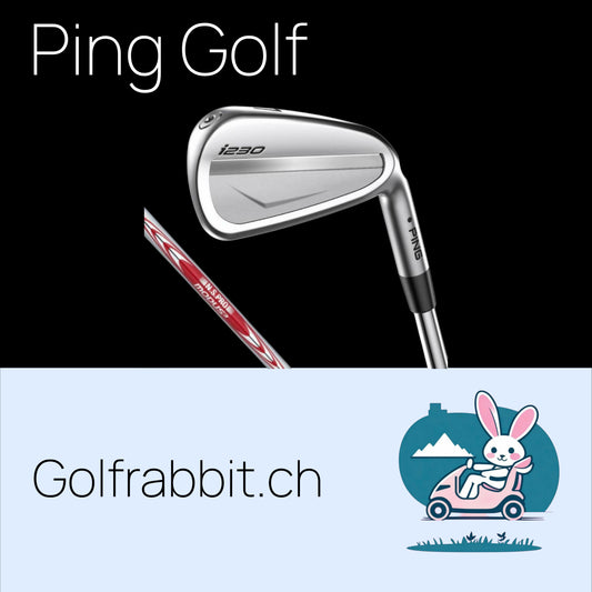 PING i230 Eisen: Das Werkzeug für den Sieg